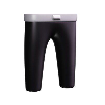 Standard pants