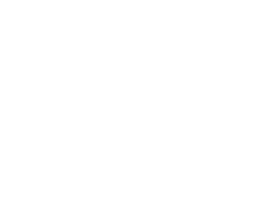 o9 Solutions